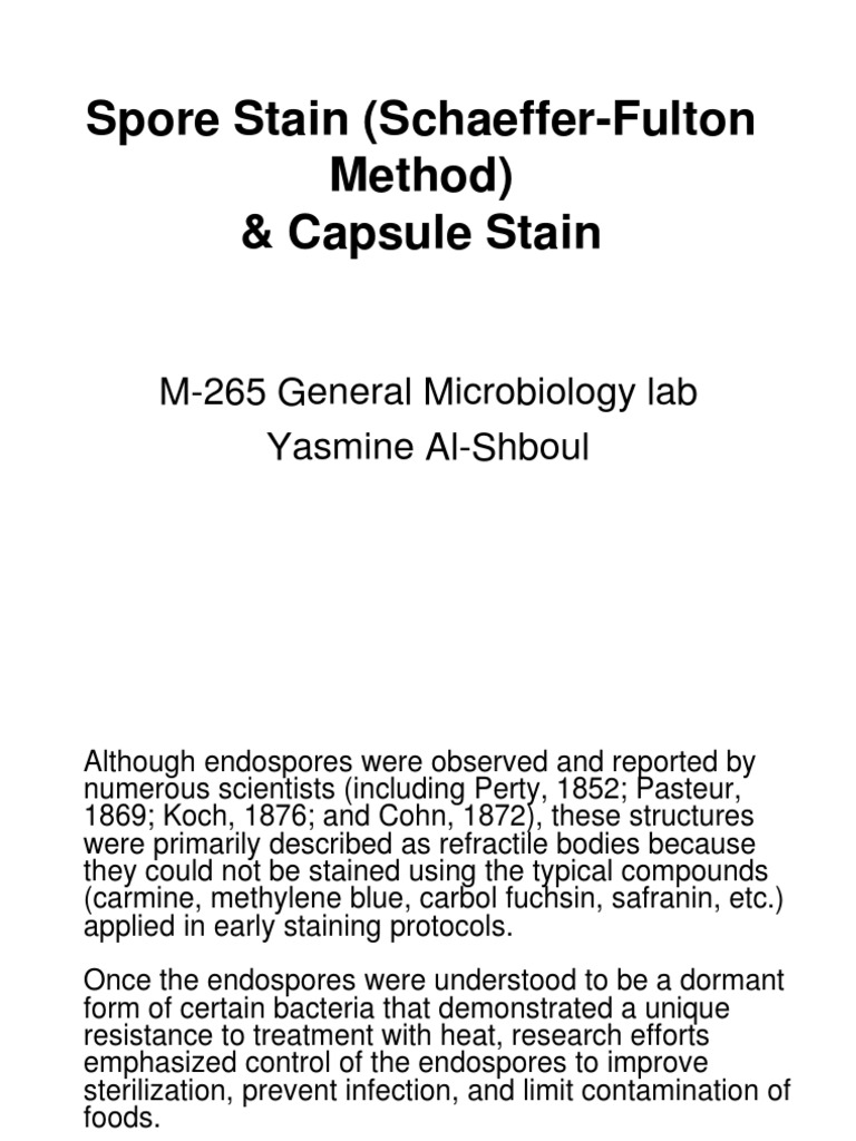 Spore Stain (Schaeffer-Fulton Method) | PDF | Staining | Bacteria