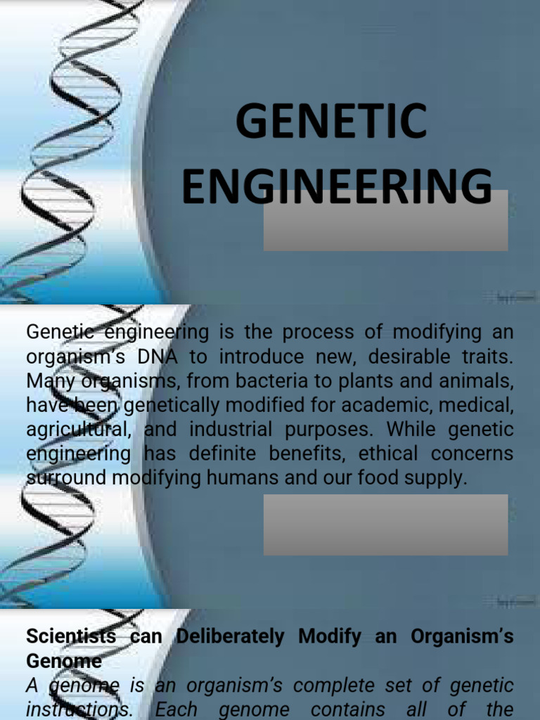 Genetic Engineering: Benefits and Processes | PDF | Genetic Engineering ...
