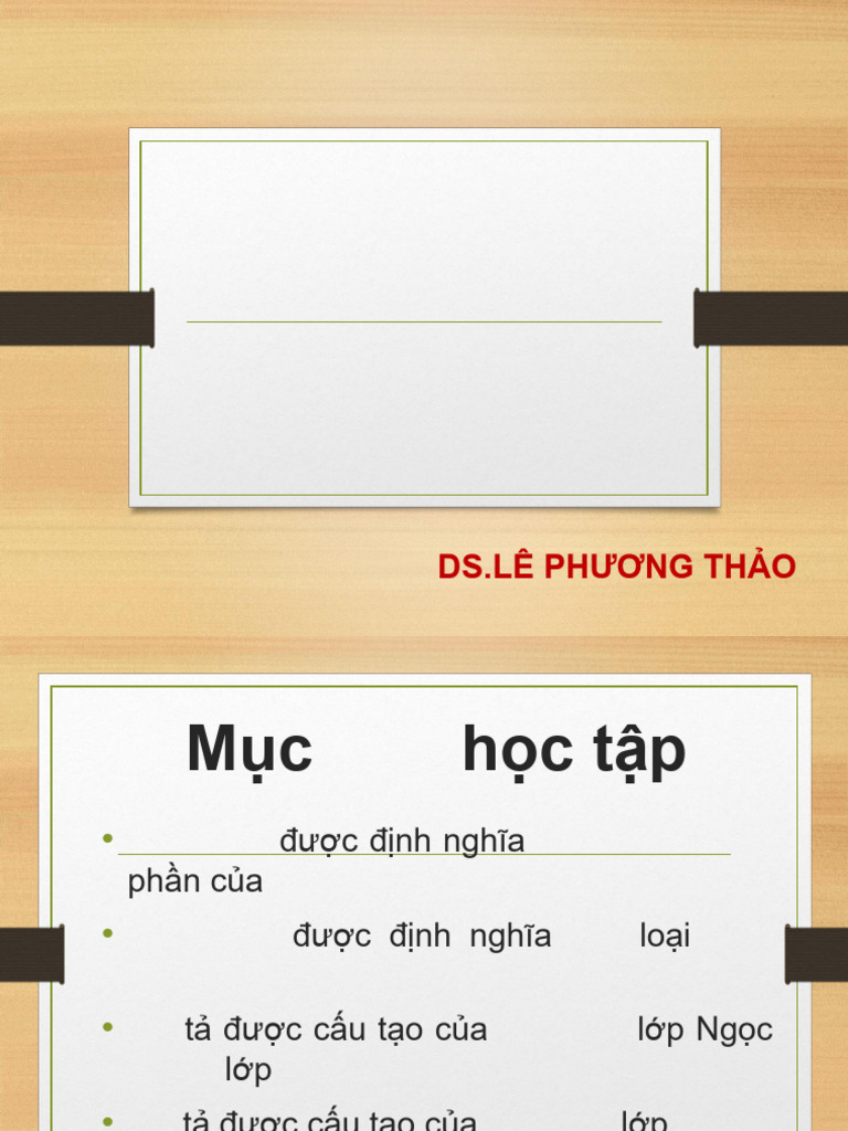 Thân Cây | PDF