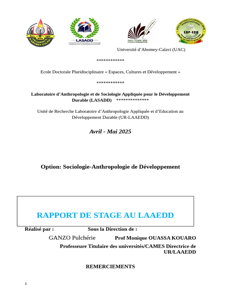 Rapport de Stage au LAAEDD 2025 | PDF | Doctorat | Émile Durkheim