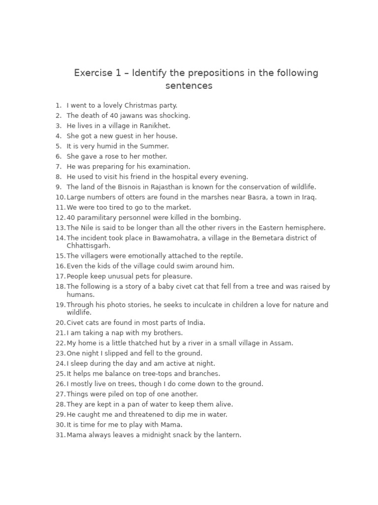Preposition Usage Exercises | PDF