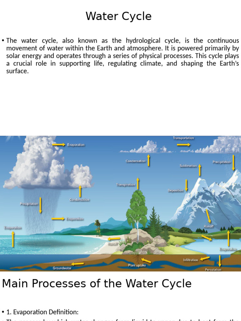 Understanding the Water Cycle Processes | PDF | Water Vapor | Ice