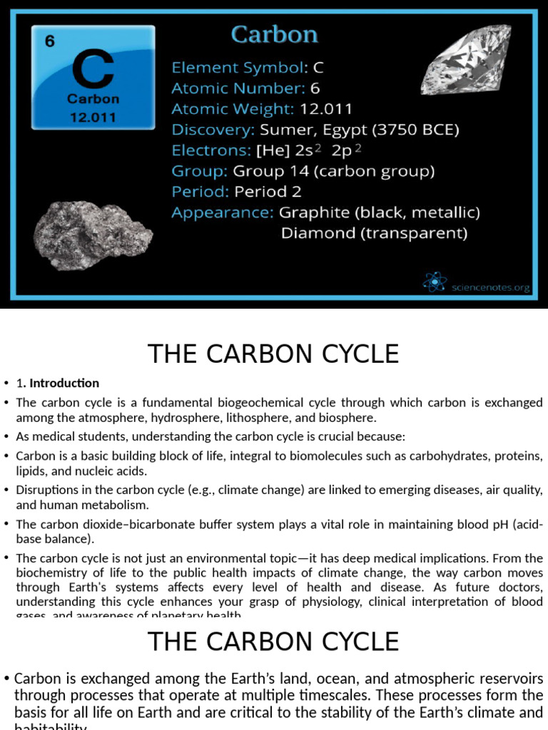 Understanding the Carbon Cycle's Impact | PDF | Carbon Dioxide | Carbon ...