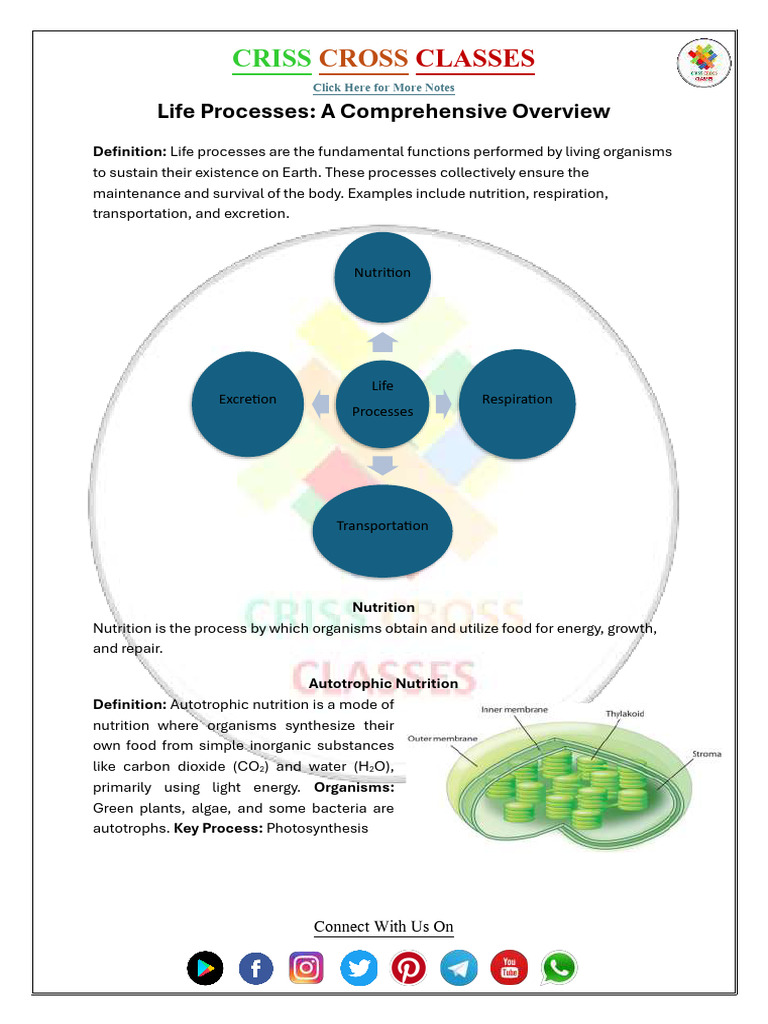 Life Processes: Nutrition & Photosynthesis | PDF | Heart Valve | Atrium ...
