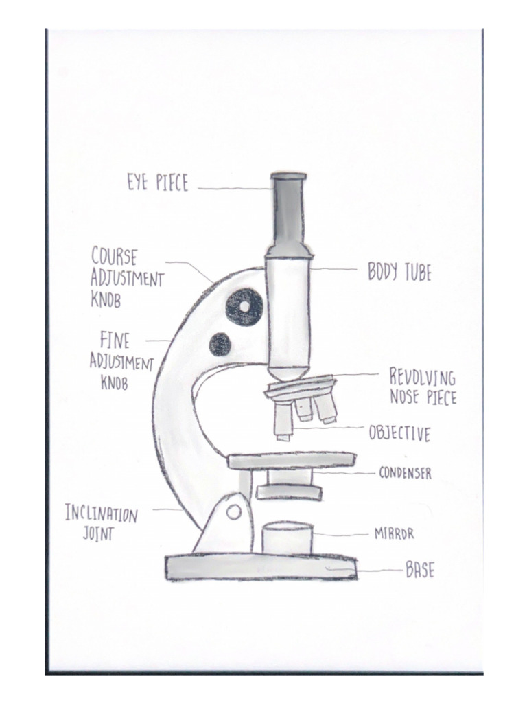 Microscope Parts | PDF