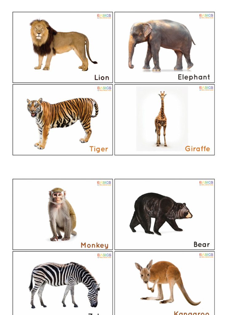 Wild Animals Flashcards For Kids - Free Printable PDF | PDF