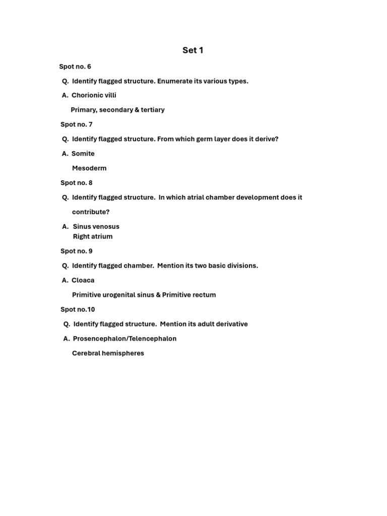 Identifying Key Embryonic Structures | PDF