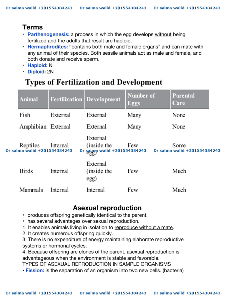 Asexual and Sexual Reproduction Explained | PDF | Menstrual Cycle | Ovary