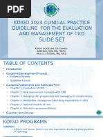 KDIGO 2024 CKD Guideline Executive Summary | PDF | Chronic Kidney ...