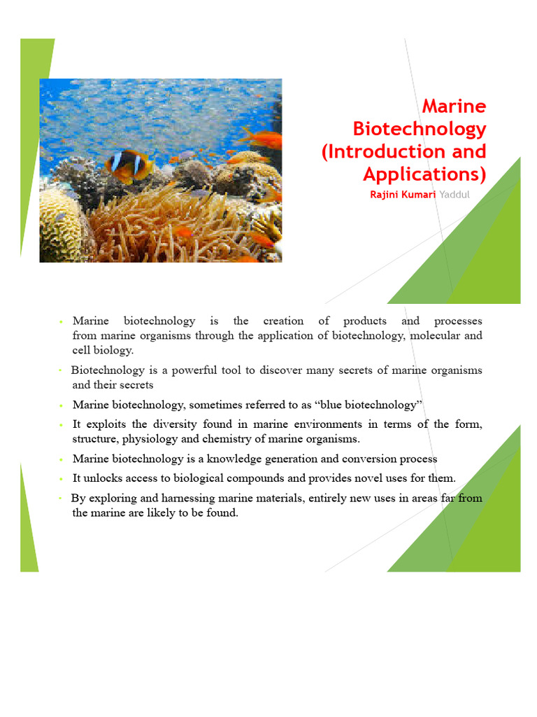 Screenshot 2025-03-13 at 7.31.31 PM | PDF | Estuary | Coral Reef