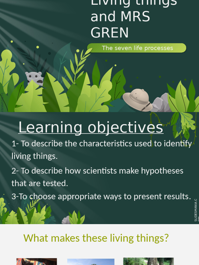 Mrs Gren Power Point Presentation in Biology | PDF | Foods | Cellular ...