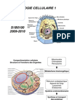 Partie 2 Bioenergie