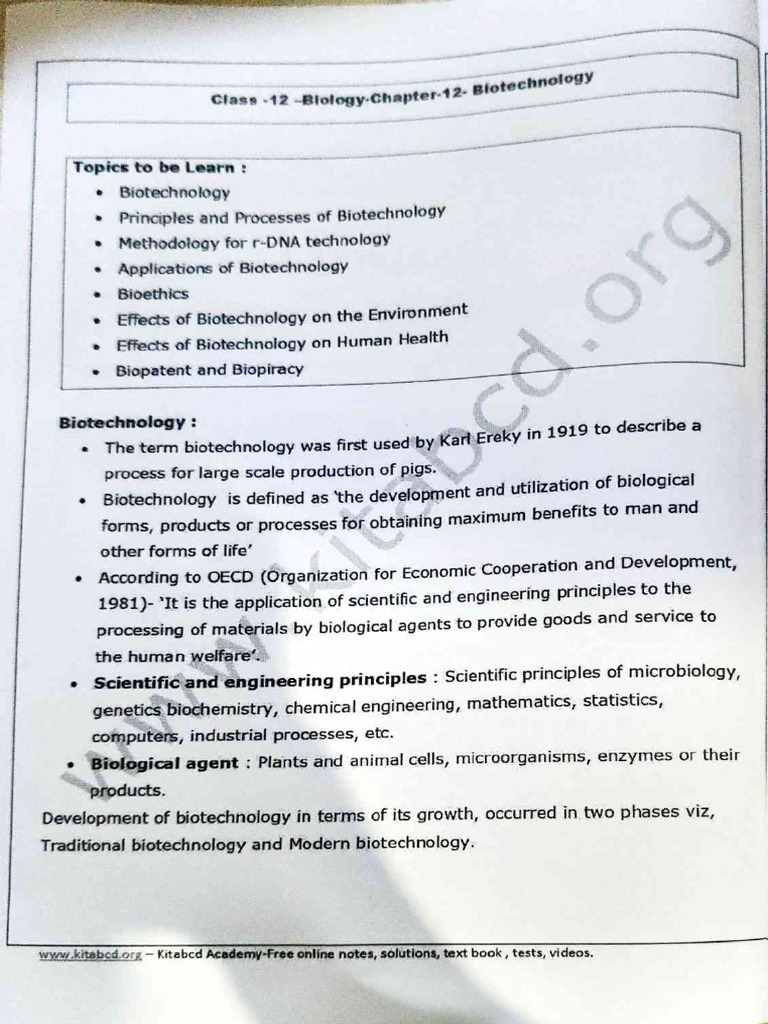 12 Biotechnology (Biology) | PDF | Molecular Cloning | Primer ...