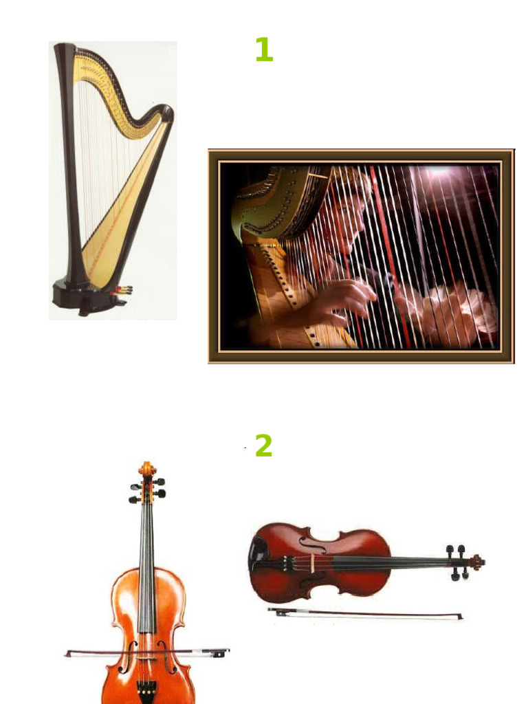 Instruments Examen1r ESO 21-22 | PDF