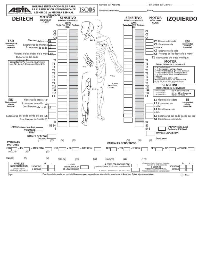 Clasificación ASIA de Lesión Medular | PDF | Dedo del pie | Sistema ...