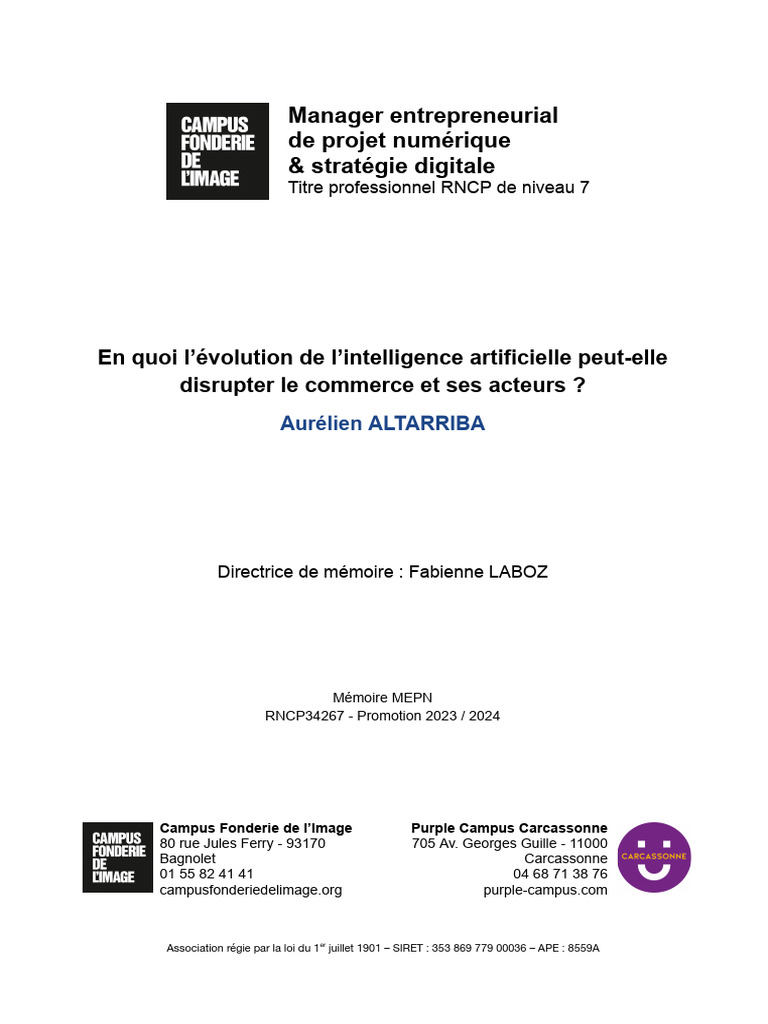 Impact de l'IA sur le commerce en ligne | PDF | Intelligence ...