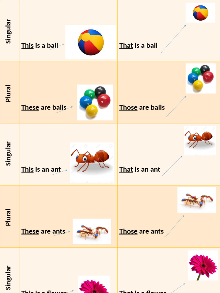 This That These Those Worksheet | PDF