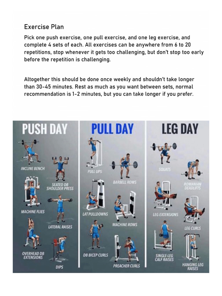 Exercise Plan | PDF