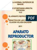 Aparatoreproductor 111104072130 Phpapp01
