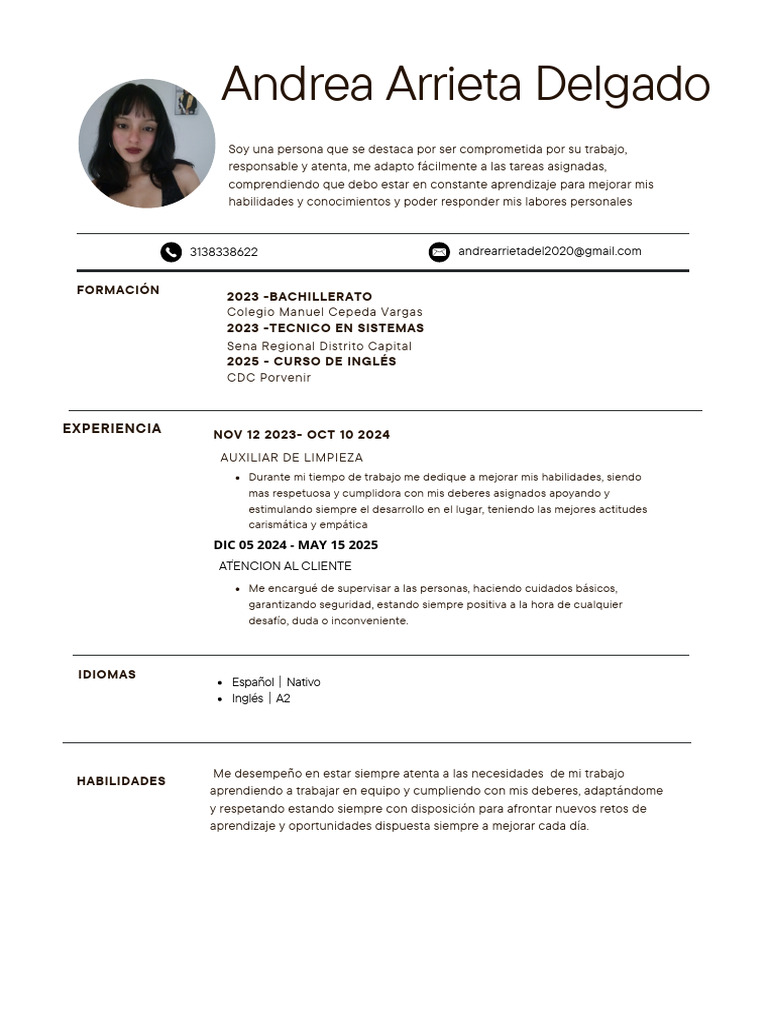 Perfil Profesional de Andrea Arrieta | PDF