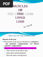 The Muscles of The Hand - Thenar - Hypothenar - TeachMeAnatomy | PDF ...