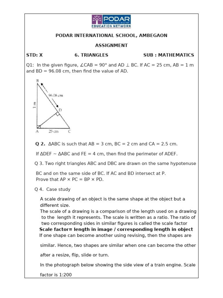 Mathematics Assignment on Triangles | PDF | Euclid | Elementary Geometry
