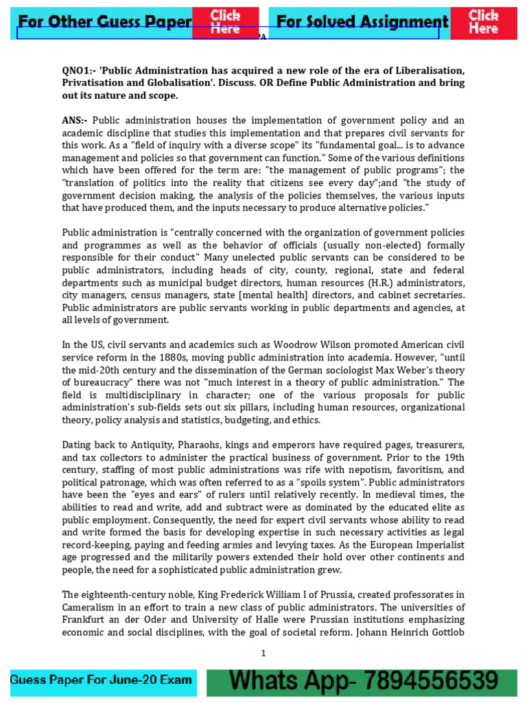 Understanding Public Administration and Bureaucracy | PDF | Critical ...
