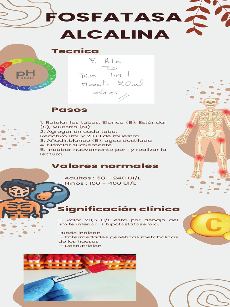 Fosfatasa Alcalina | PDF