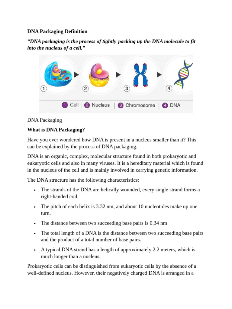 Understanding DNA Packaging Process | PDF | Histone | Chromatin