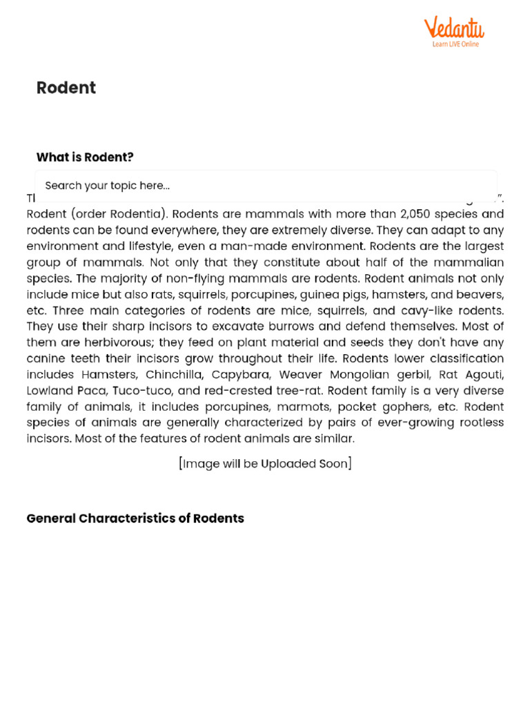 Rodent | PDF