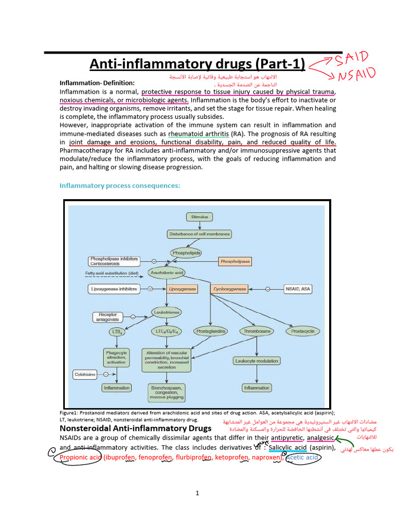 Anti-Inflammatory Drugs Overview | PDF | Nonsteroidal Anti Inflammatory ...
