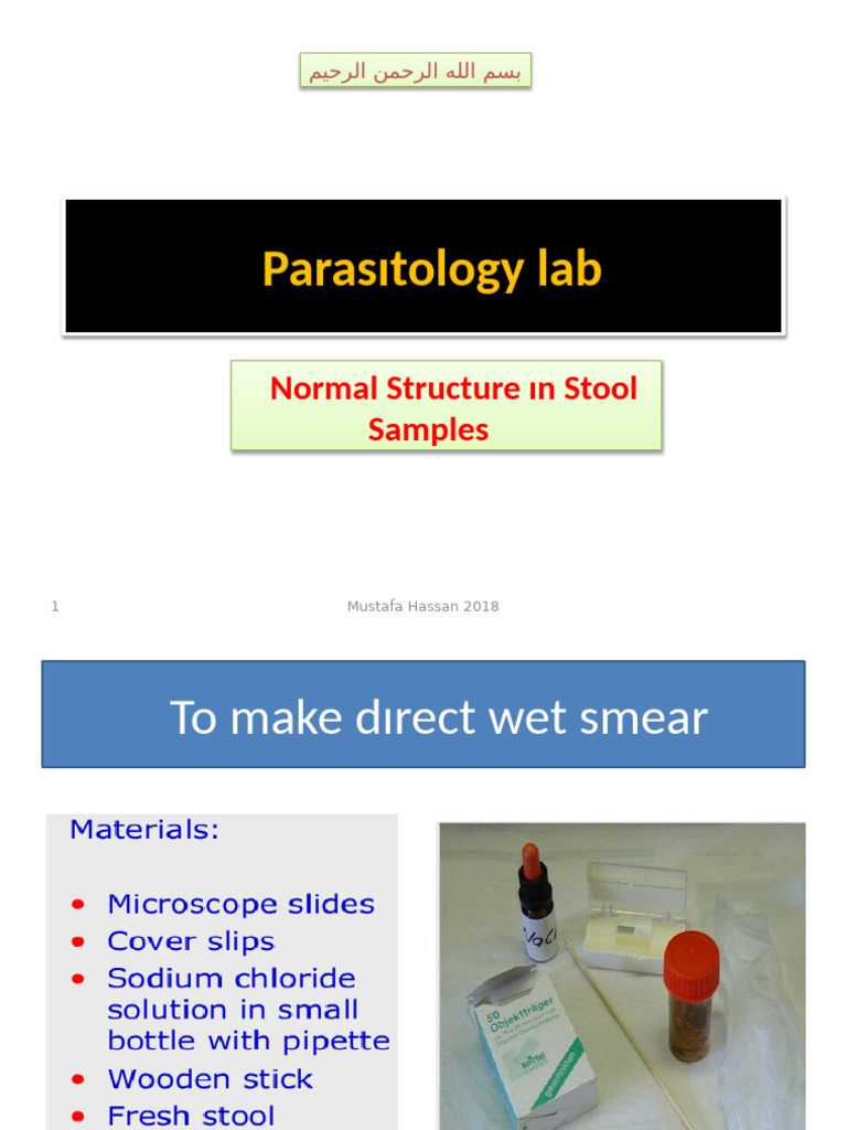 Normal Structures in Stool | PDF