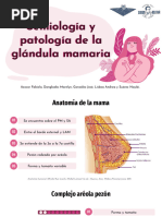 Polimastia y Pezones Supernumerarios | PDF | Pecho | Cáncer de mama