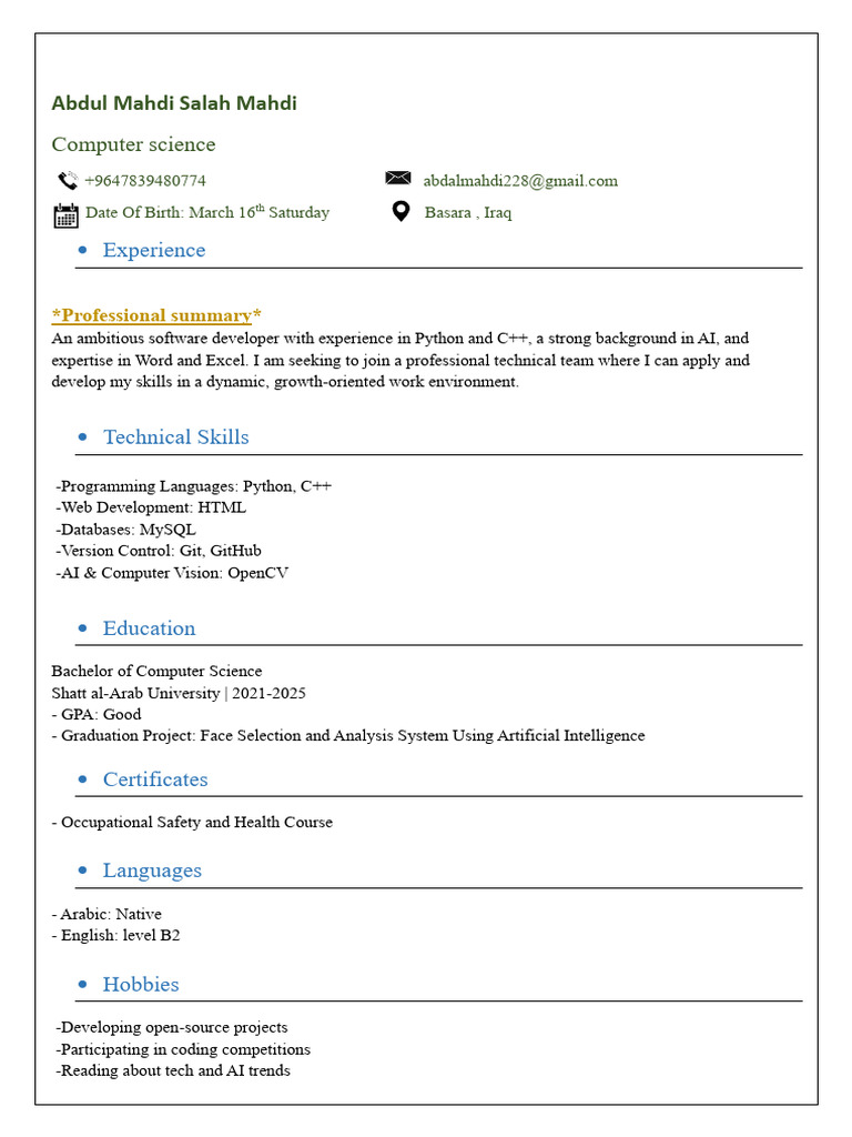 Software Developer Profile: AI & Python Skills | PDF