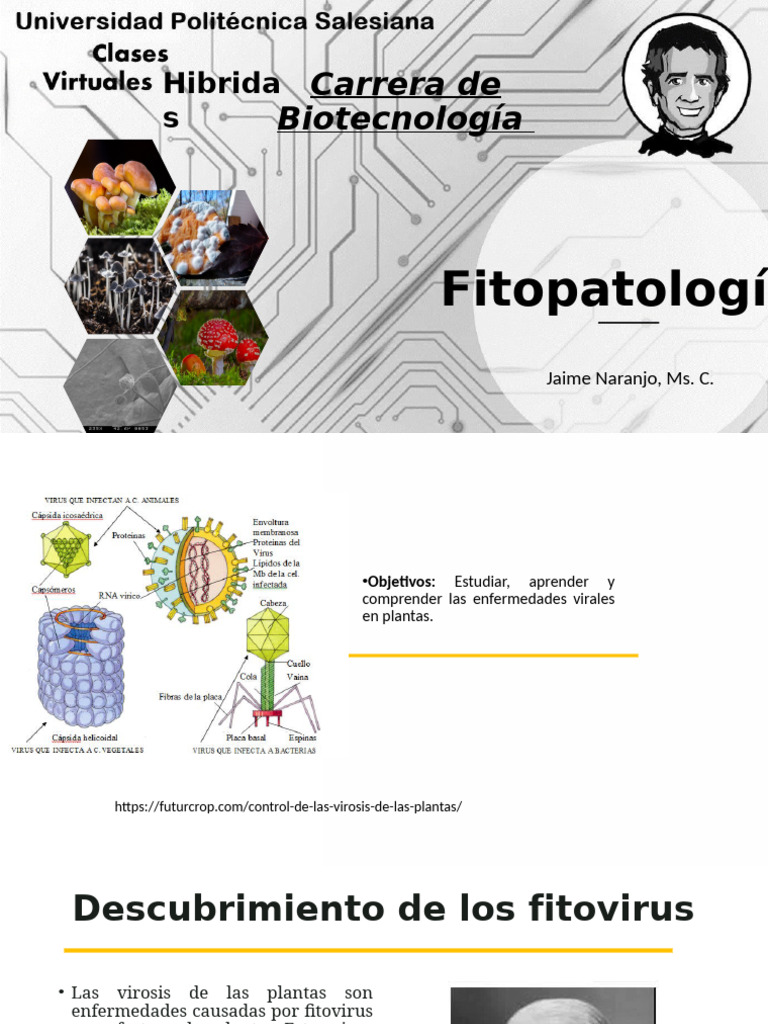Clase 22 Fitopatología | PDF | Virus de la planta | Virus