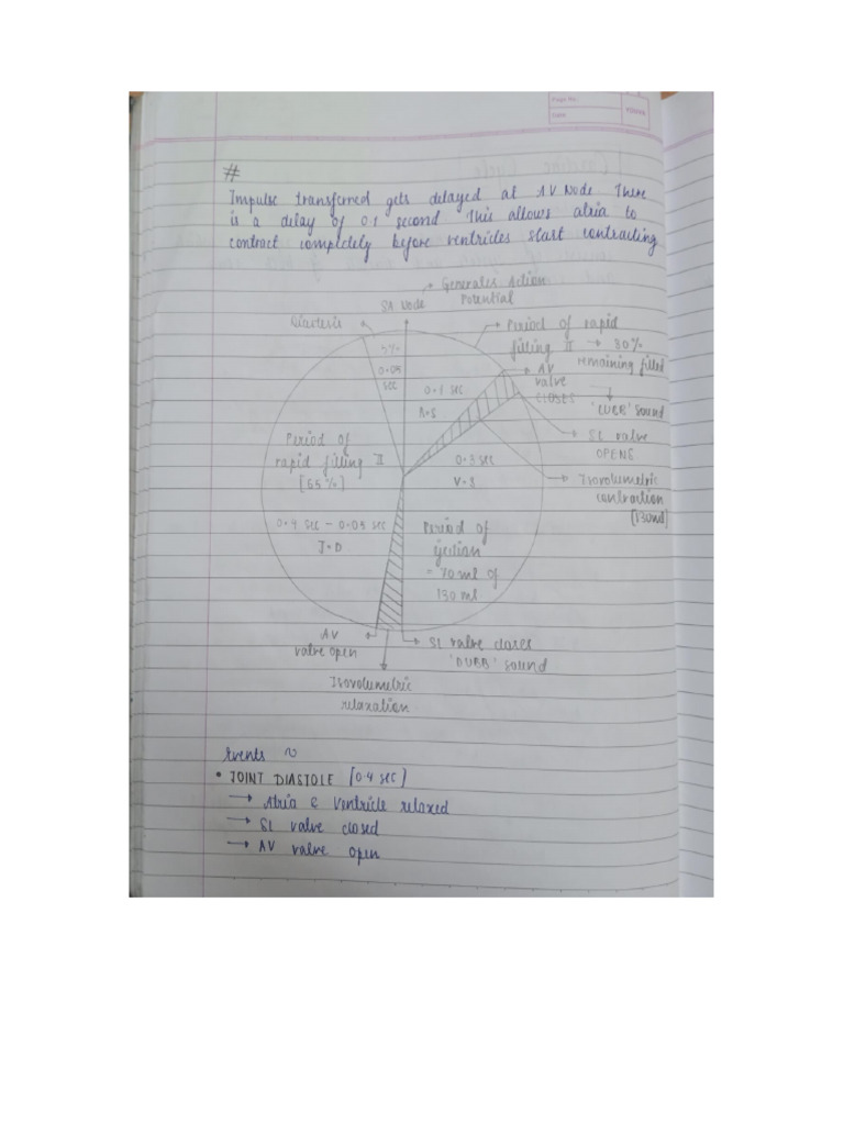 Body Fluids and Circulation | PDF