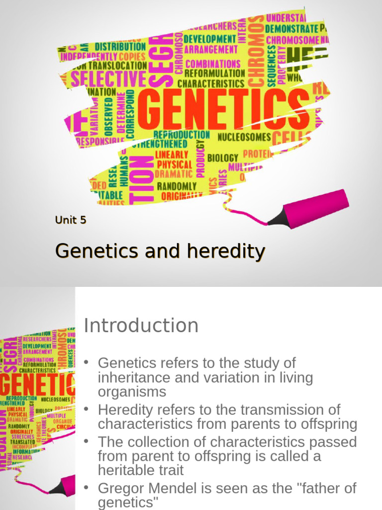 Understanding Genetics and Heredity Concepts | PDF | Dominance ...