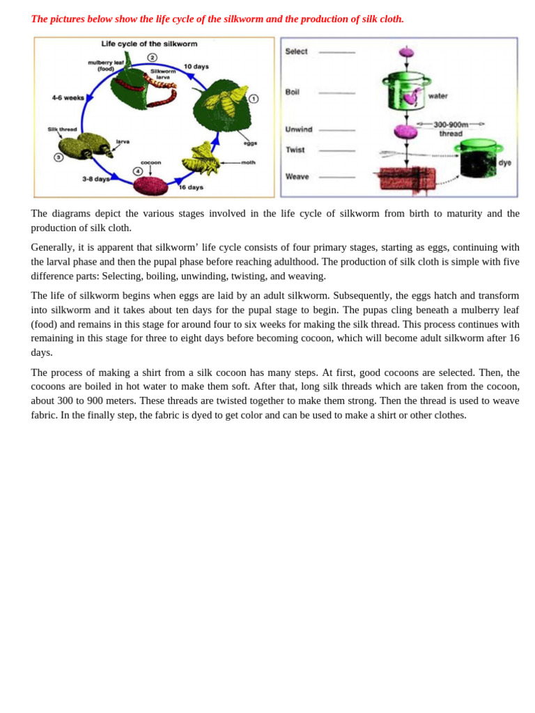 Silkworm Life Cycle and Silk Production | PDF