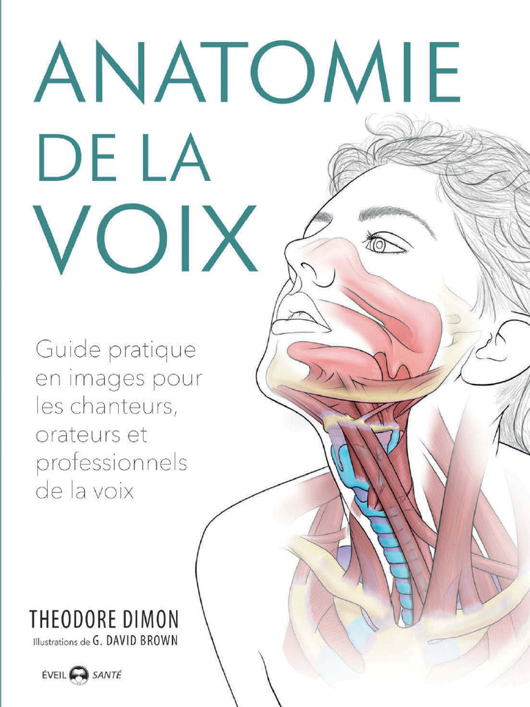 Anatomie de la voix : Guide illustré | PDF | Vertèbre | Thorax