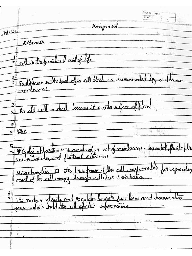 Science Assignment Answer | PDF