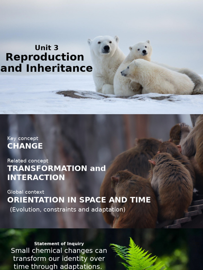 Reproduction and Inhertitance | PDF | Menstrual Cycle | Luteinizing Hormone