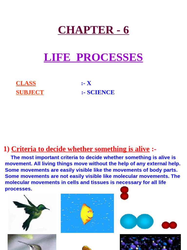 Life Processes in Organisms Explained | PDF | Circulatory System | Heart