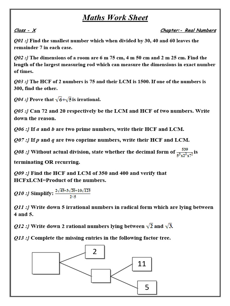 Real Numbers Assignment 1 | PDF | Numbers | Mathematical Objects