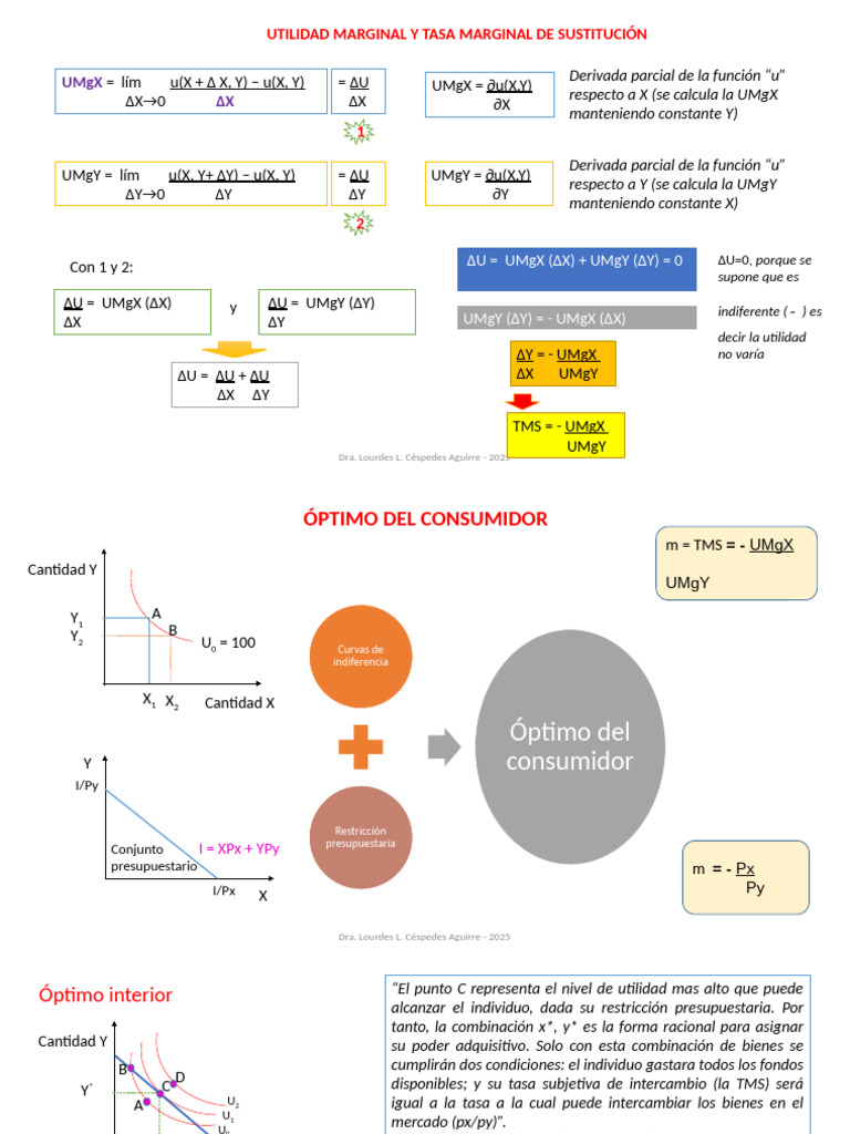 Utilidad Marginal y Óptimo del Consumidor | PDF | Microeconomía ...