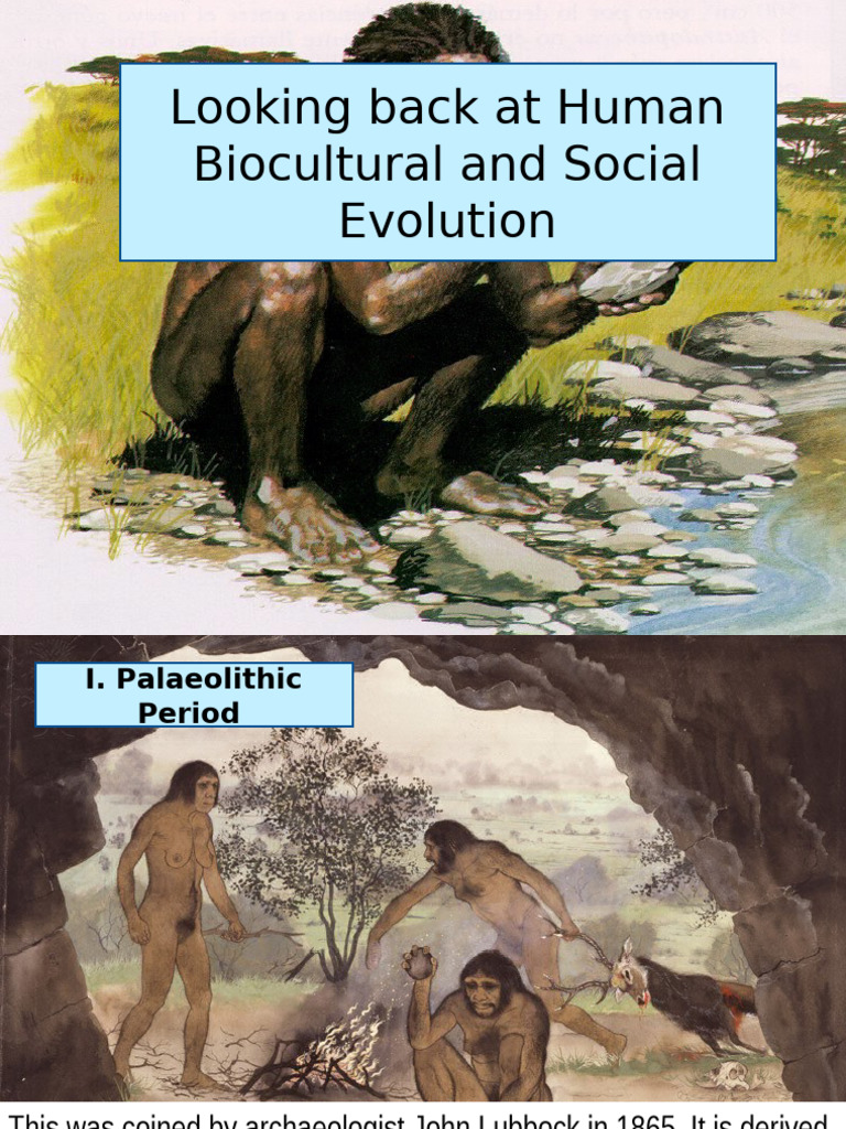 Evolution of Human Societies: From Paleolithic to Civilization | PDF ...