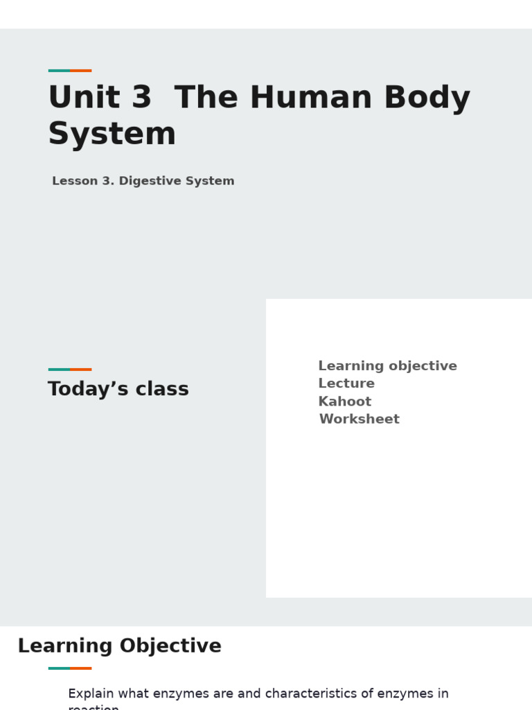 Digestive System: Role of Enzymes | PDF | Enzyme | Digestion