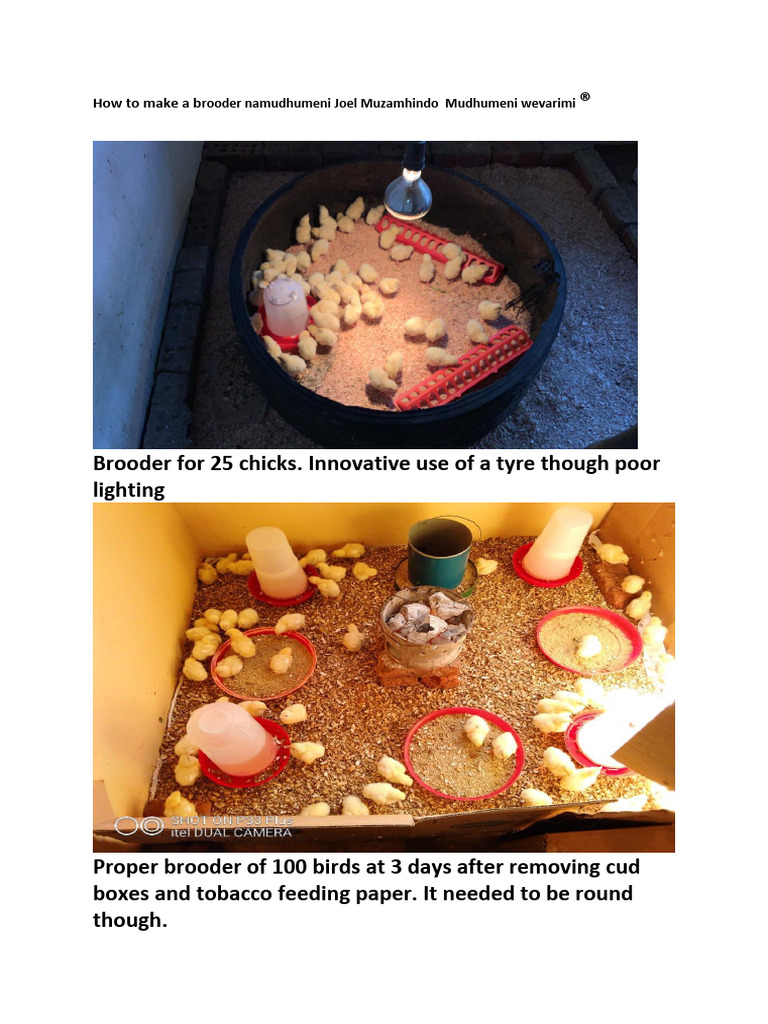 Brooder Construction for Chicks | PDF | Birds