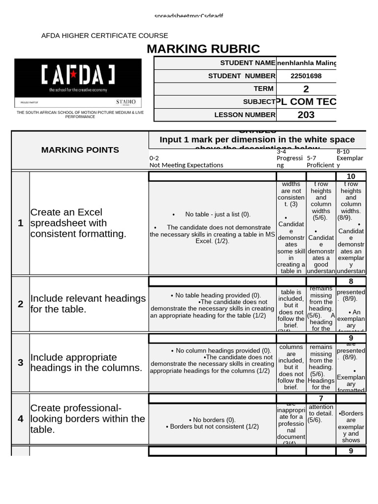 AFDA Excel Marking Rubric Guide | PDF | Microsoft Excel | Plagiarism