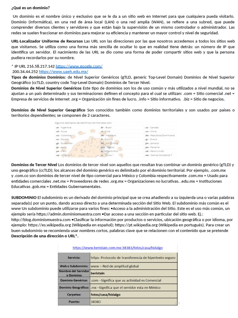 Definición de Dominio en Informática | PDF | Informática | Internet