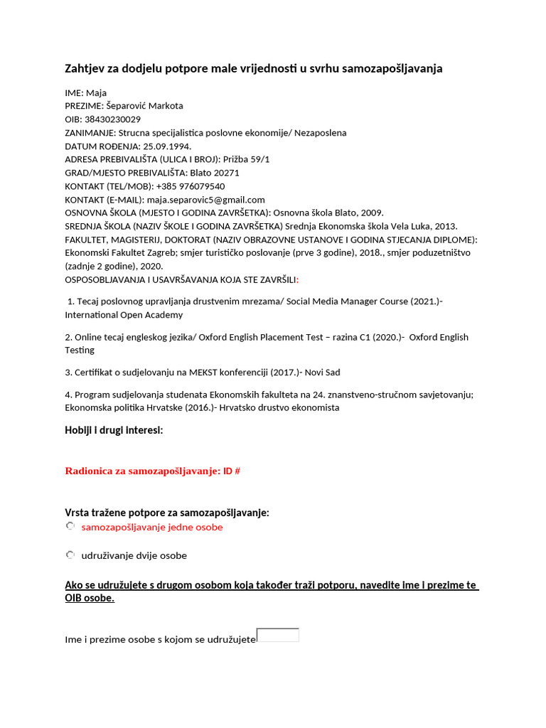 Poslovni-Plan-Samozapošljavanje | PDF